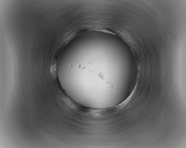 X0000115620190200911171323