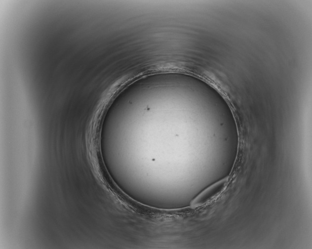 X0000115620193200911171323