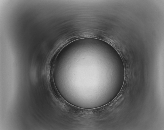 X0000115620194200911171322