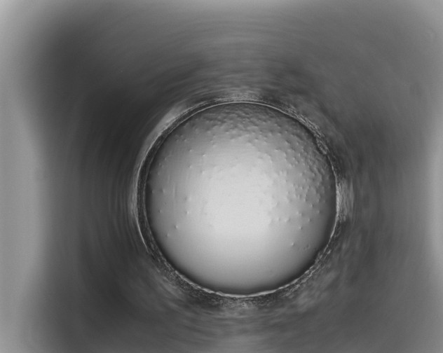 X0000115620195200911171322