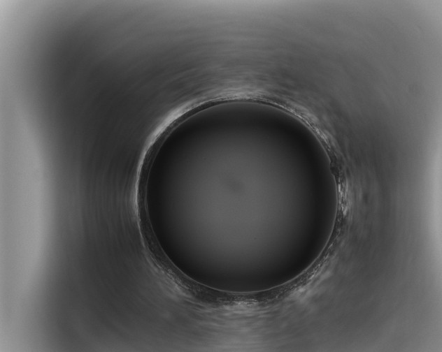 X0000115620196200911171322