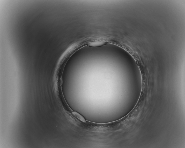 X0000115620197200911171322