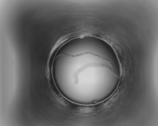 X0000115620198200911171322