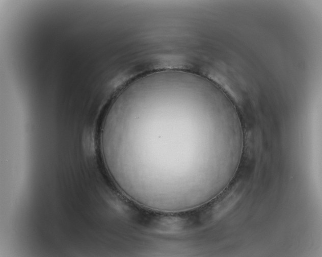 X0000115620203200911171322