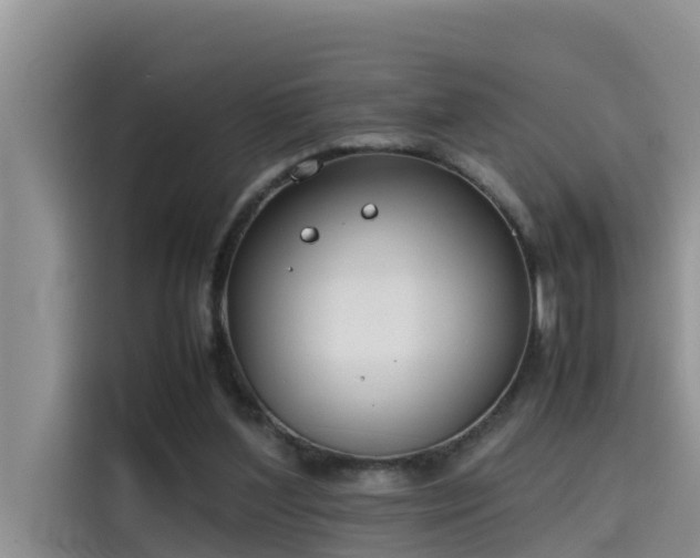 X0000115620204200911171322