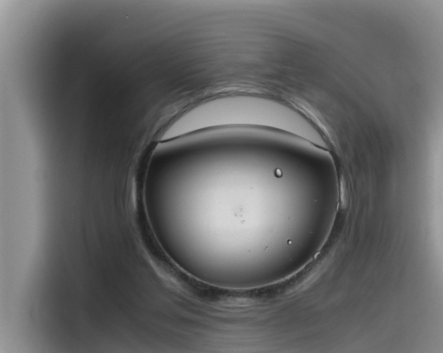 X0000115620205200911171322