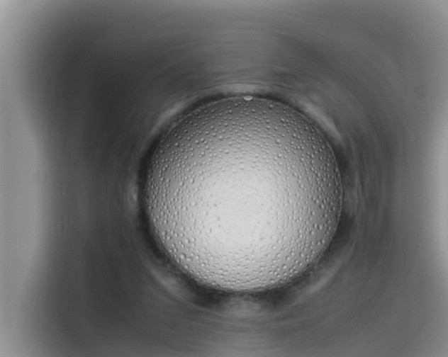 X0000115620207200911171322