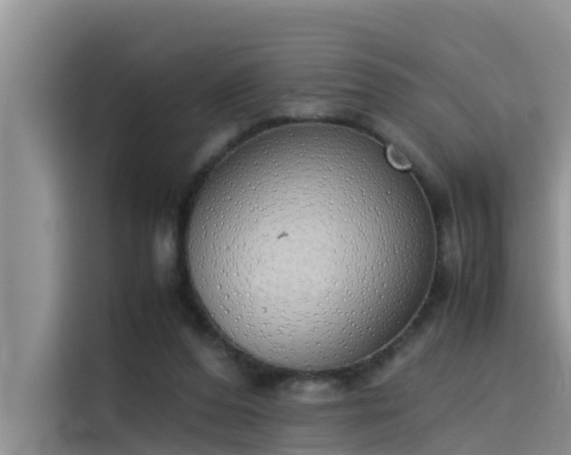 X0000115620208200911171322