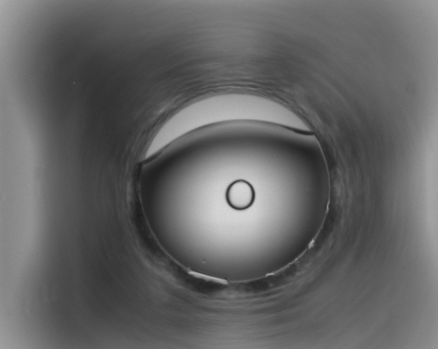 X0000115620211200911171322