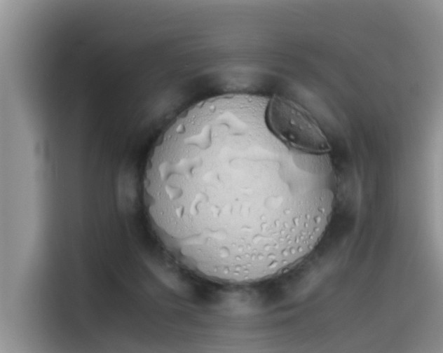 X0000115620215200911171322