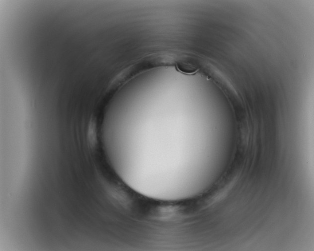 X0000115620216200911171322