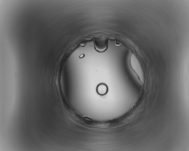 X0000115620217200911171322