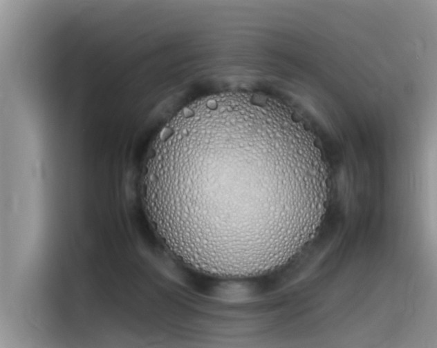 X0000115620218200911171322