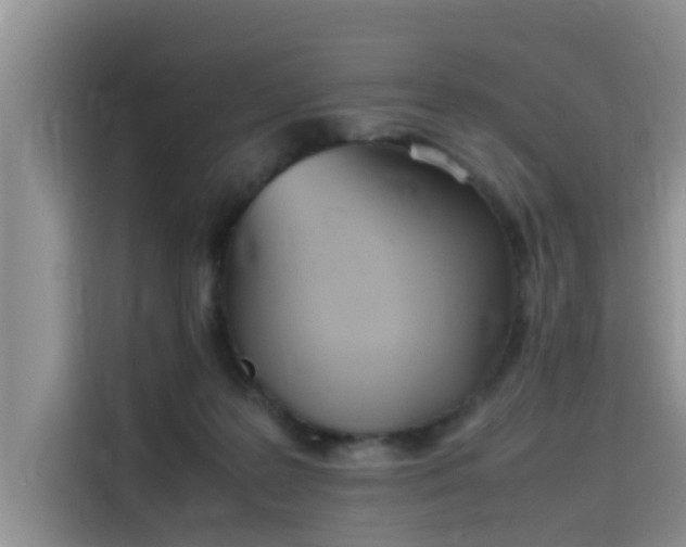 X0000115620219200911171322