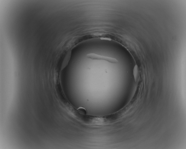 X0000115620227200911171322