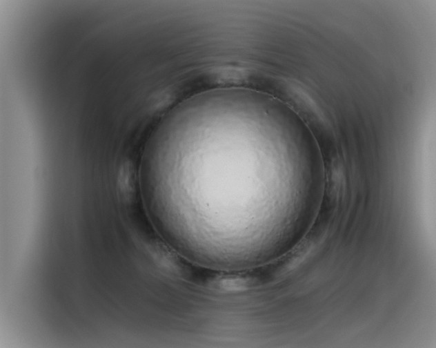 X0000115620228200911171322