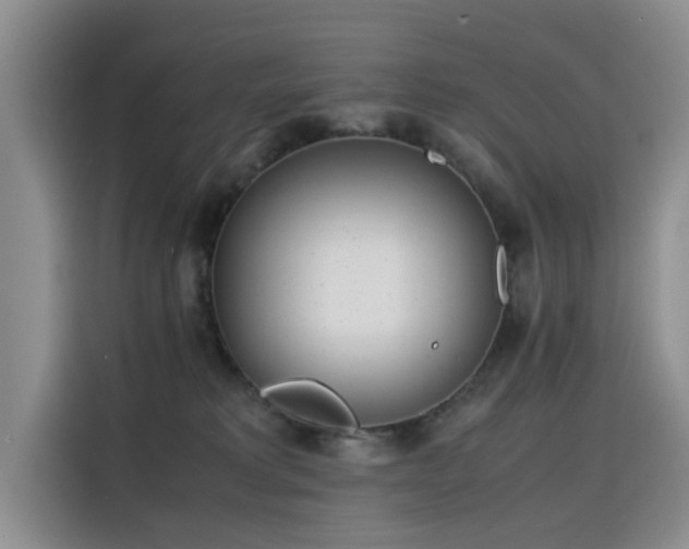 X0000115620229200911171322