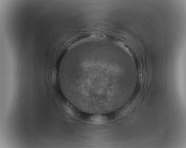 X0000115620231200911171322