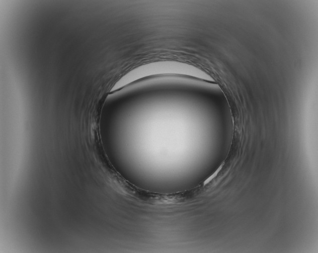 X0000115620235200911171322