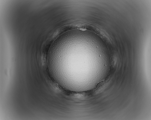 X0000115620236200911171322