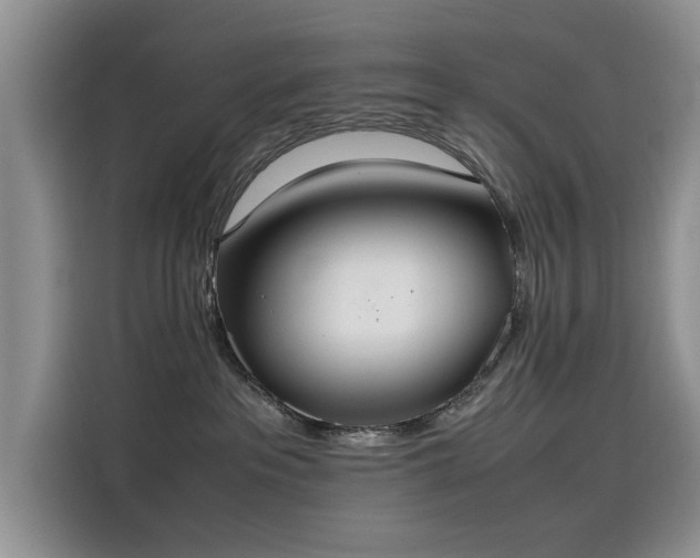 X0000115620237200911171322