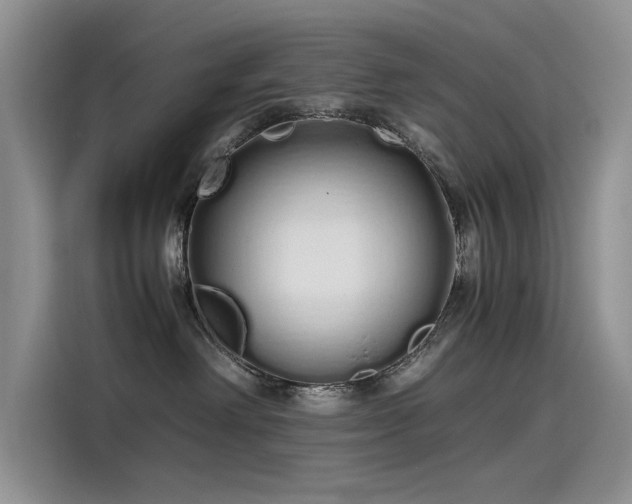 X0000115620238200911171322