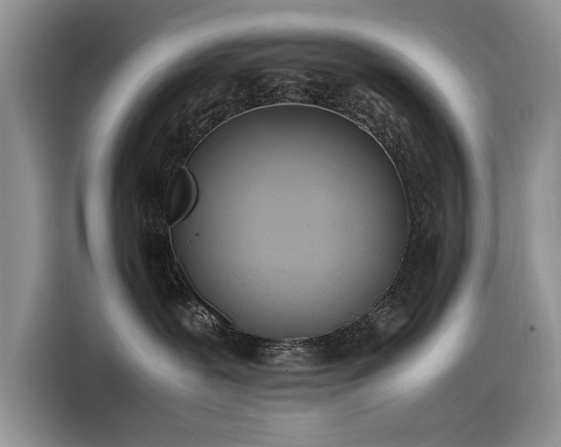 X0000115620239200911171322