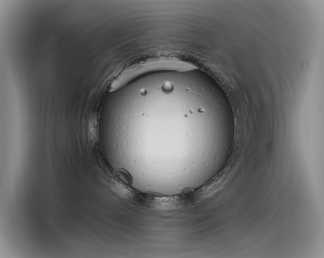 X0000115620240200911171322