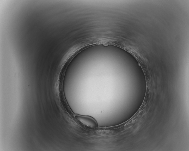 X0000115620242200911171321