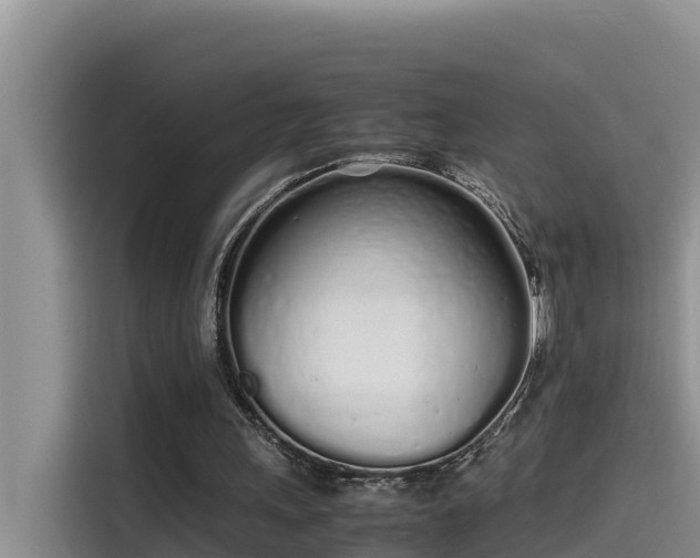 X0000115620243200911171321