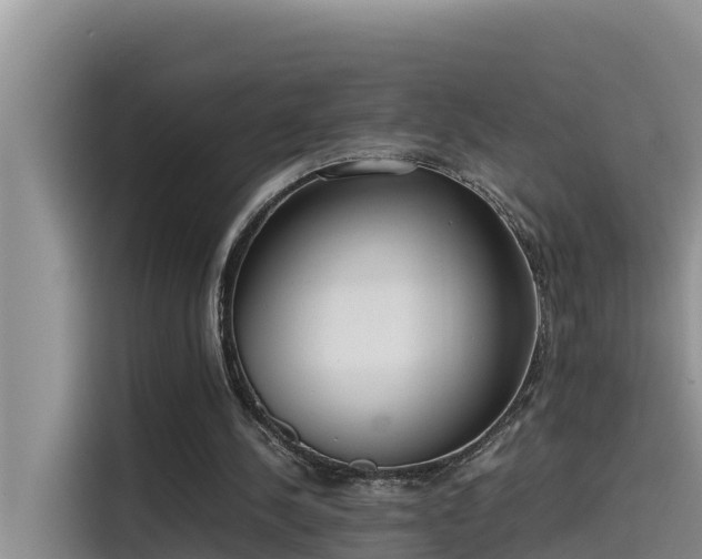 X0000115620244200911171321