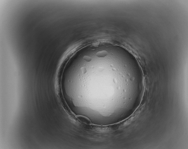 X0000115620245200911171321