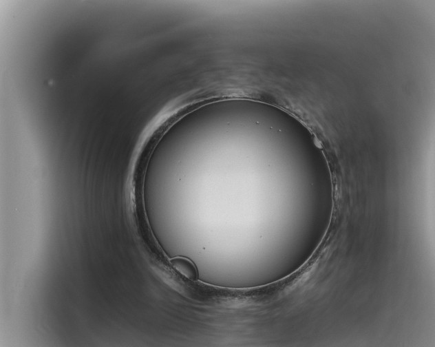 X0000115620246200911171321