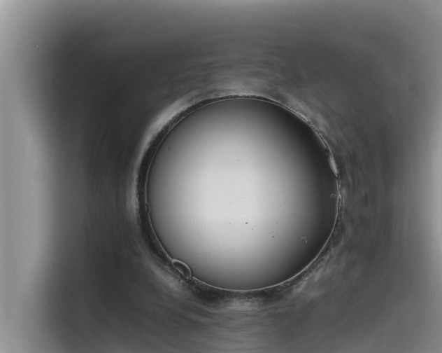 X0000115620248200911171321