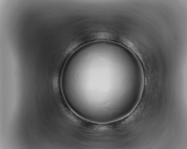 X0000115620249200911171321