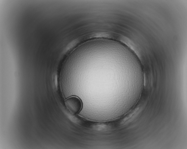 X0000115620253200911171321