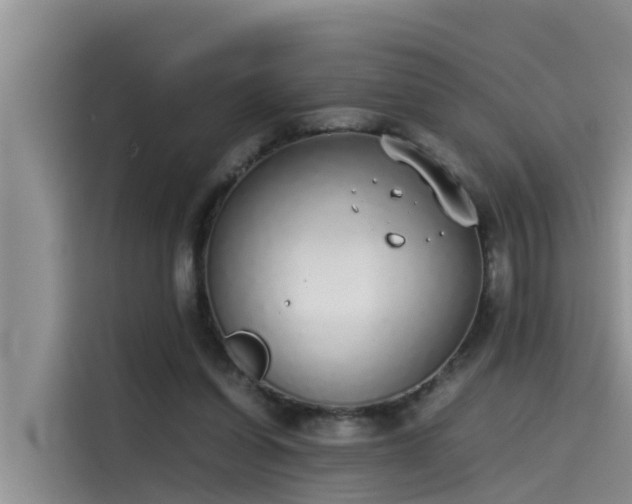 X0000115620254200911171321