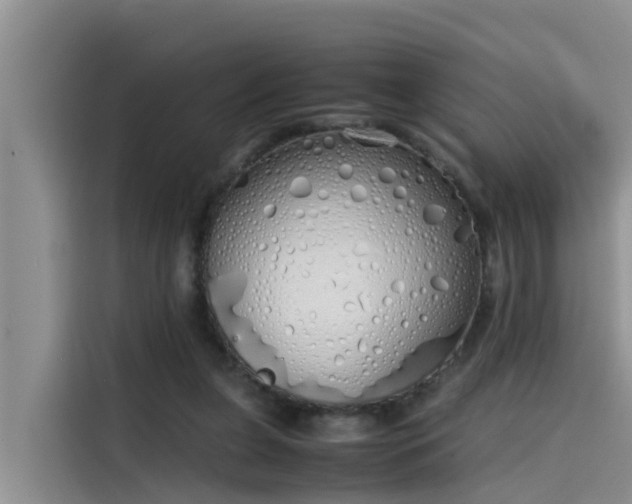 X0000115620255200911171321