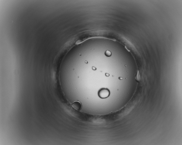 X0000115620258200911171321