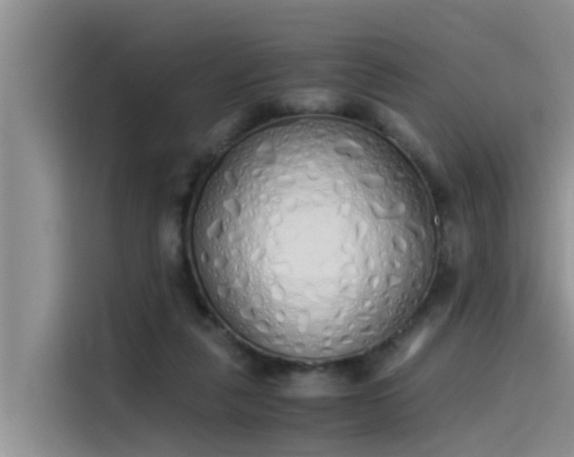 X0000115620259200911171321