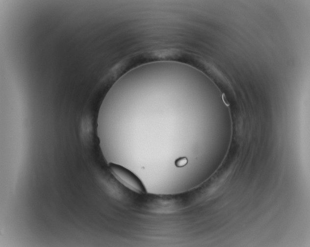 X0000115620260200911171322