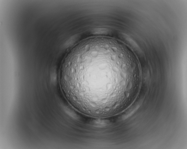 X0000115620261200911171322