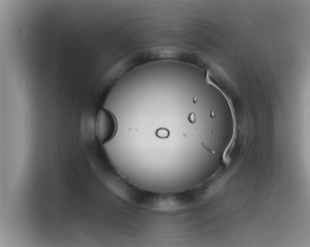 X0000115620262200911171322