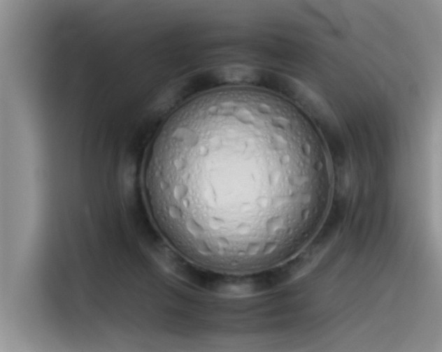 X0000115620263200911171322