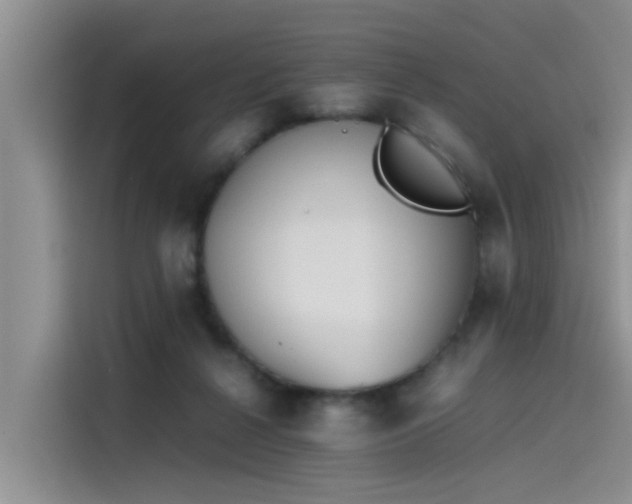 X0000115620264200911171322