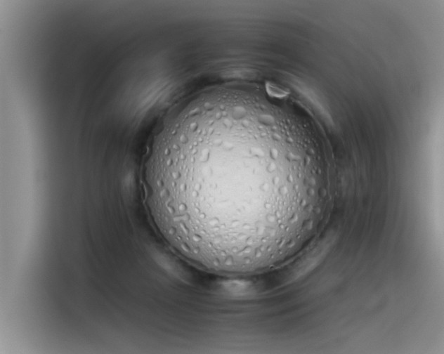 X0000115620265200911171322