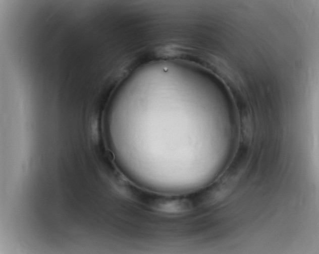 X0000115620267200911171322