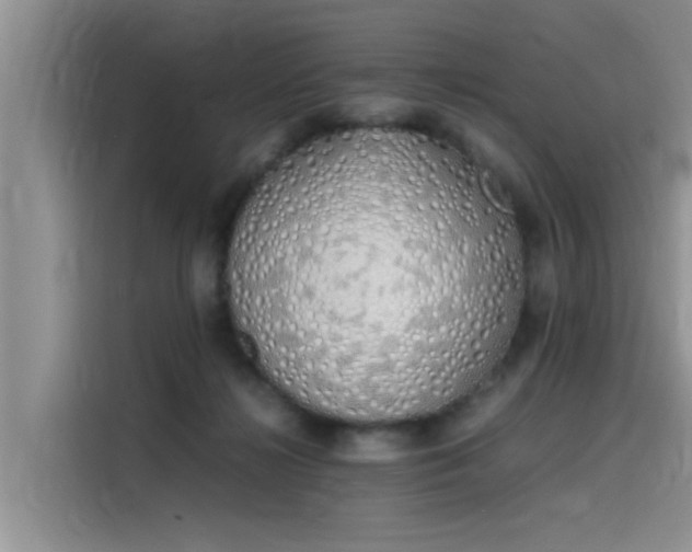 X0000115620268200911171322