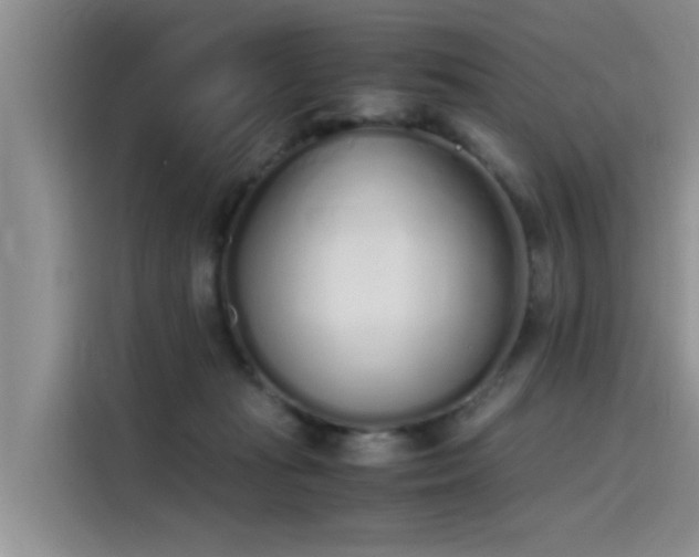 X0000115620269200911171322