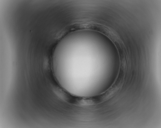 X0000115620270200911171322